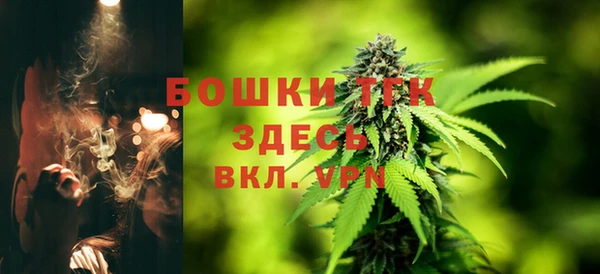 твердый Волоколамск
