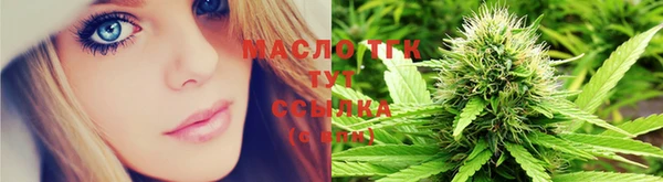 ПСИЛОЦИБИНОВЫЕ ГРИБЫ Вяземский