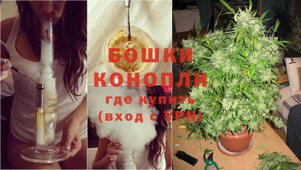 ПСИЛОЦИБИНОВЫЕ ГРИБЫ Вяземский