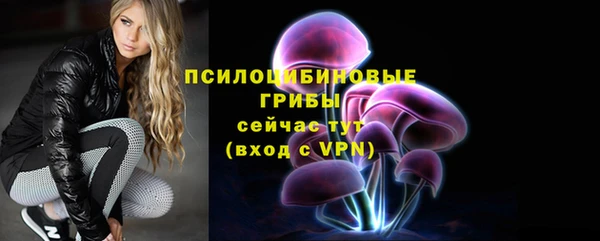 apvp Вязники