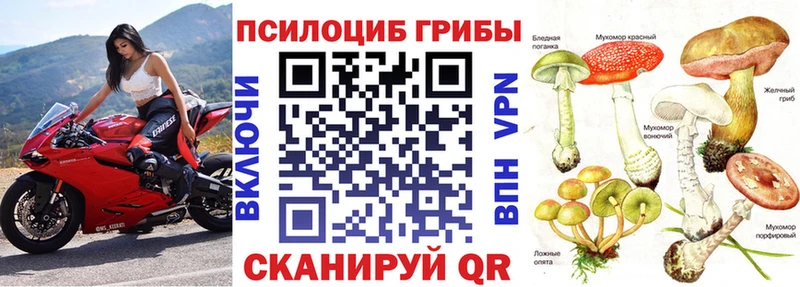 наркотики  Дно  Псилоцибиновые грибы ЛСД 